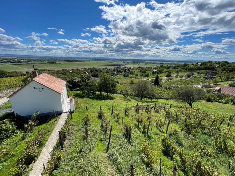 BARRIQUE COUNTRY HOME⚲ Somlóvásárhely