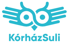 Kórházsuli